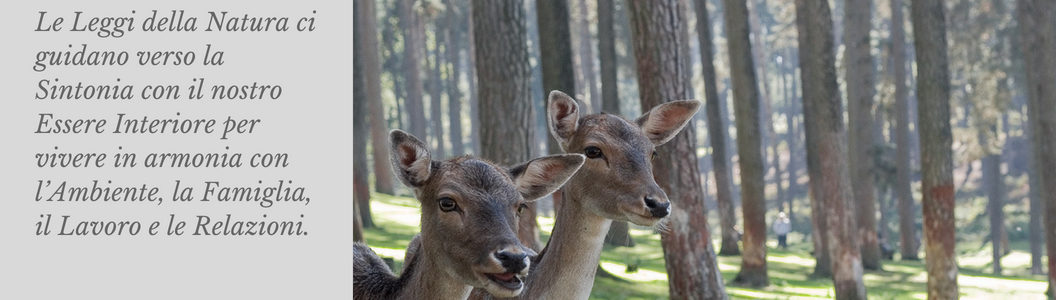 Il Sentiero della Natura